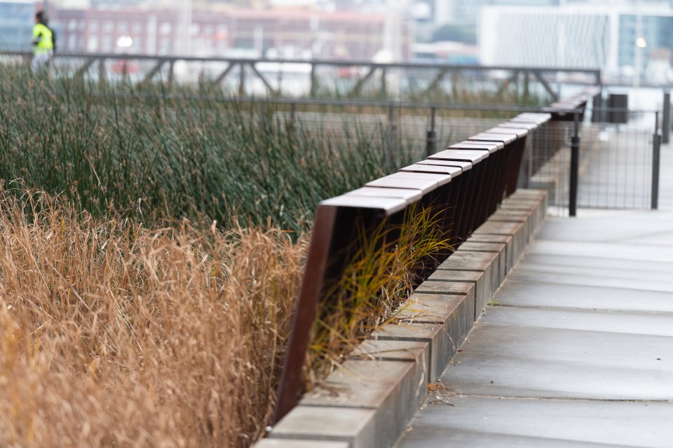 190611 WW WaitangiPark 013