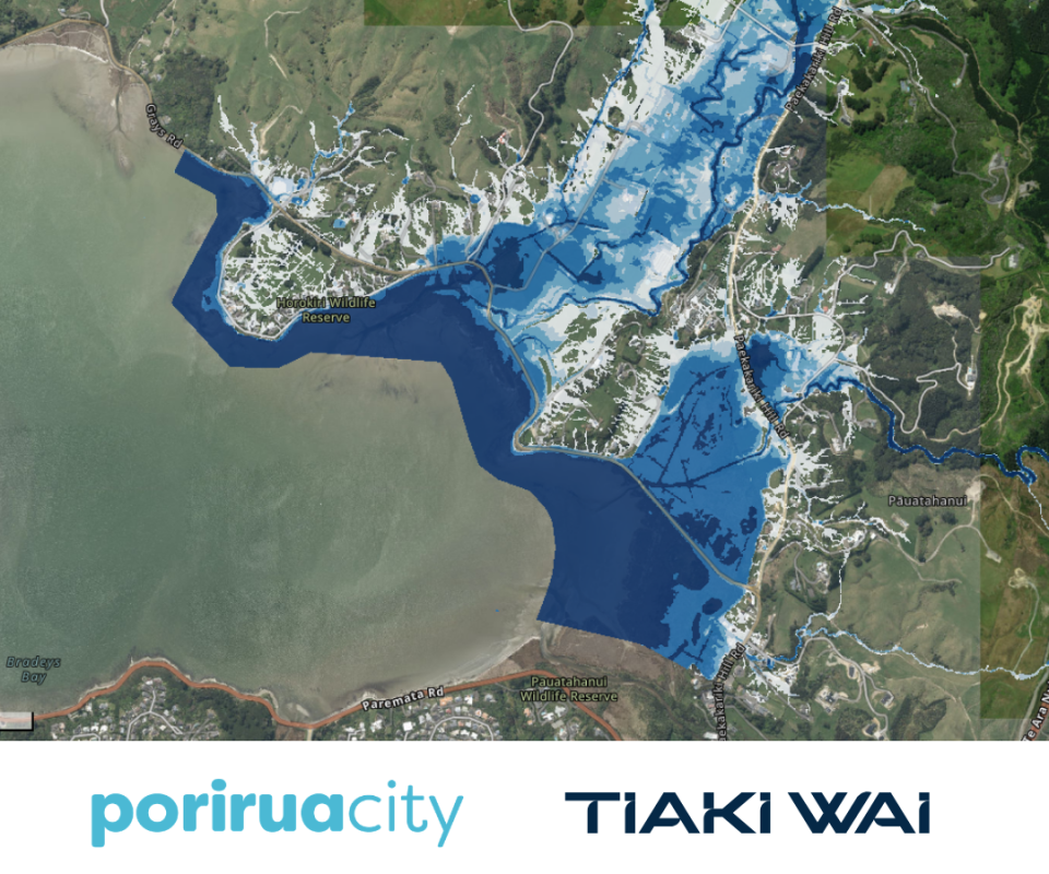 Horokiri Flood Mapping Community Event