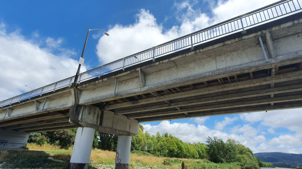 Totara Park Pipe Bridge