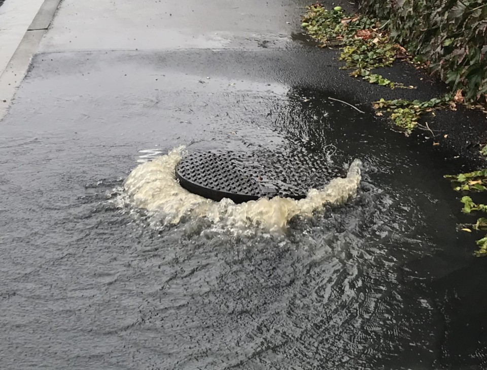 Mana esplanade (low res)