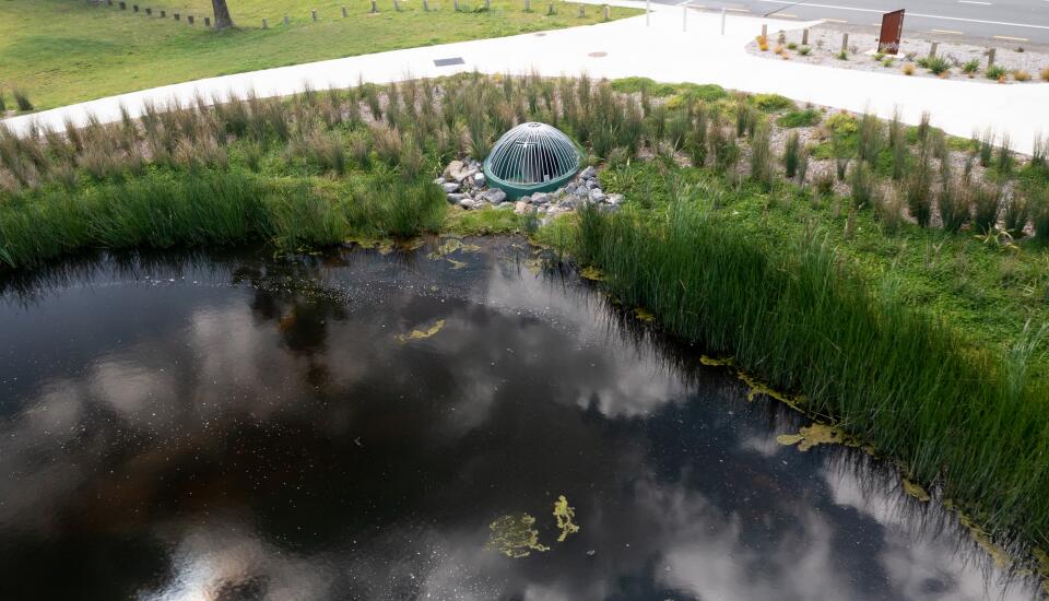 Elsdon wetlands for stormwater capture